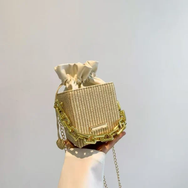 Dear Priyota – Premium Chain Bag