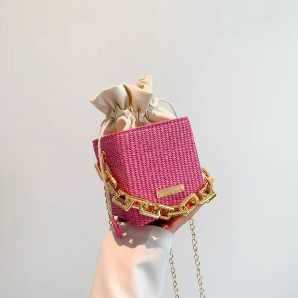 Dear Priyota – Premium Chain Bag